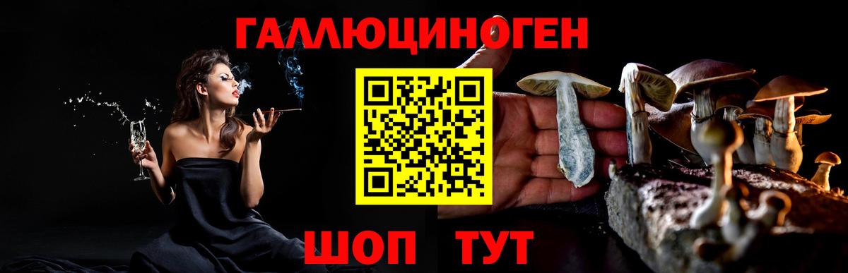 Галлюциногенные грибы MAGIC MUSHROOMS  Галлюциногенные грибы мухоморы  закладка  Вход с VPN  Новомосковск 